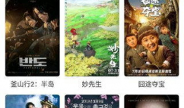 大像视频,揭秘科技与生活的完美融合